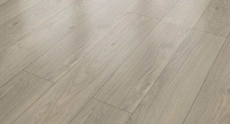 Hrast Dvorski 8-32.jpg