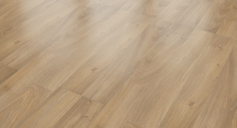 Hrast Knoxville nature, 7-32.jpg