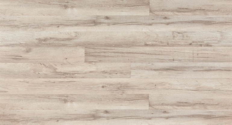 Hrast Norfolk , 7-31.jpg